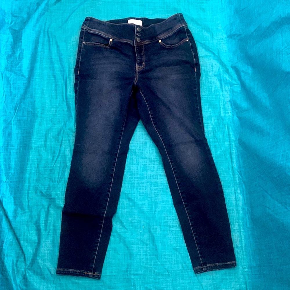 Lane Bryant Dark Wash Jegging